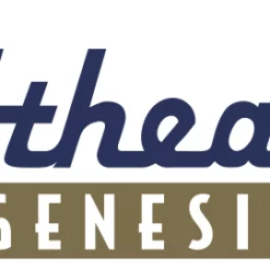 Athearn Genesis G26881 HO Scale 60' Texarkana XB-172 Boxcar Wisconsin Southern WSOR 500240